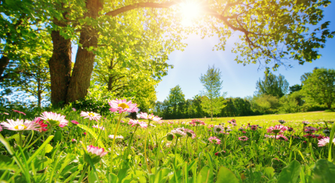 printemps